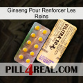 Ginseng For Reinforcing Kidney new06